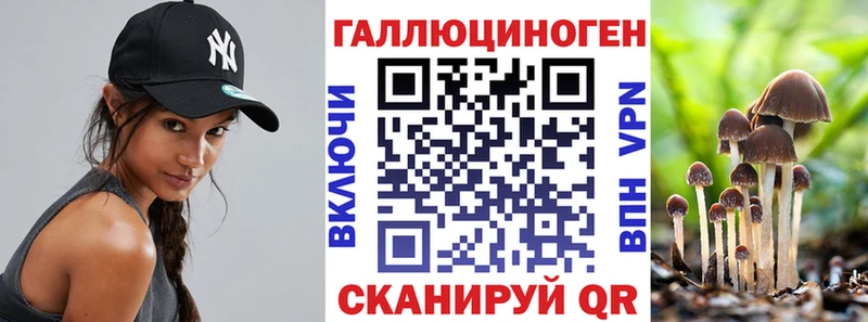Купить где  Добрянка  Галлюциногенные грибы Cubensis 